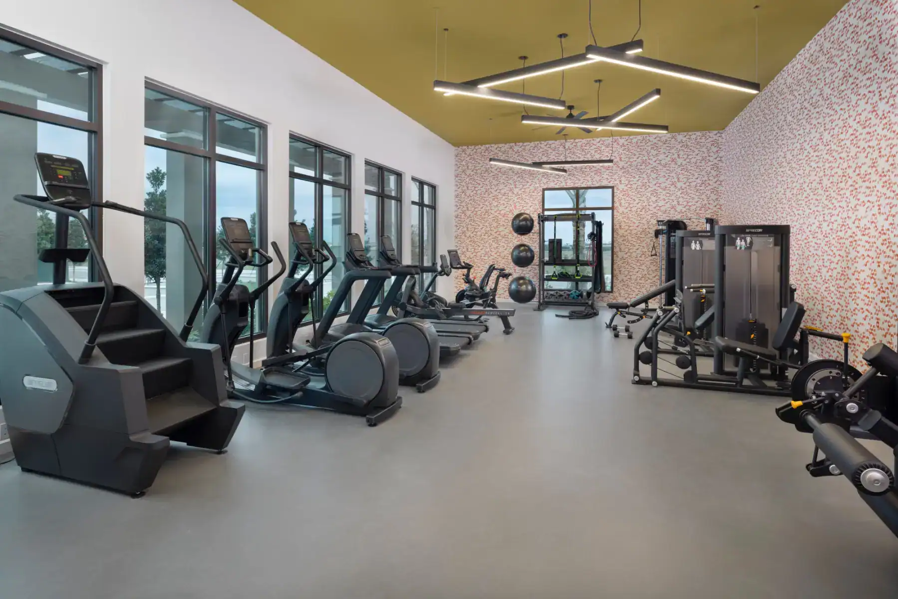 Vistera Of Venice: The Club - Modern Fitness Center